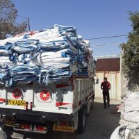 فروش انواع جانبو بیگ بگ نو