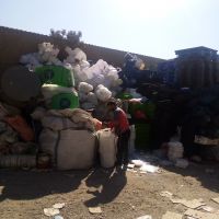 پلاستیک بادی، پ پ و سبد مرغی