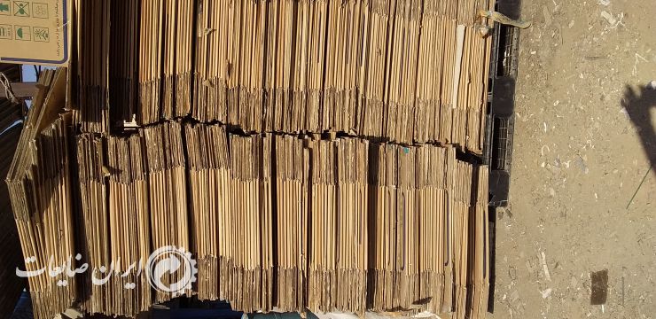 فروش کارتن دونه ای