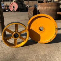 فروش فولی سالم