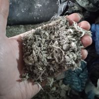 فروش کندوری سفید درجه 2