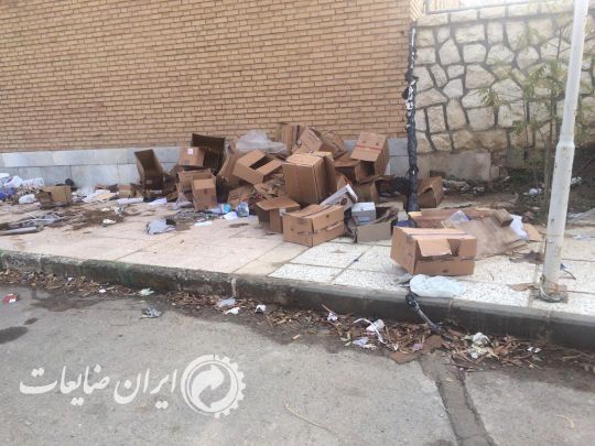 ظرف پلاستیکی و کارتن