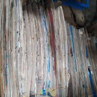 فروش کارتن موزی