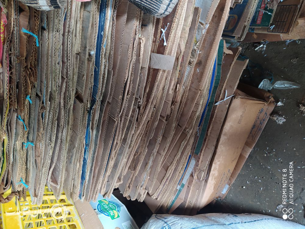 فروش کارتن موزی