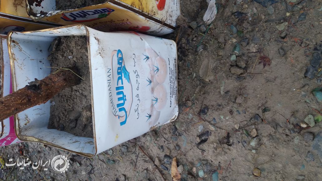حلب ۱۷ کیلویی
