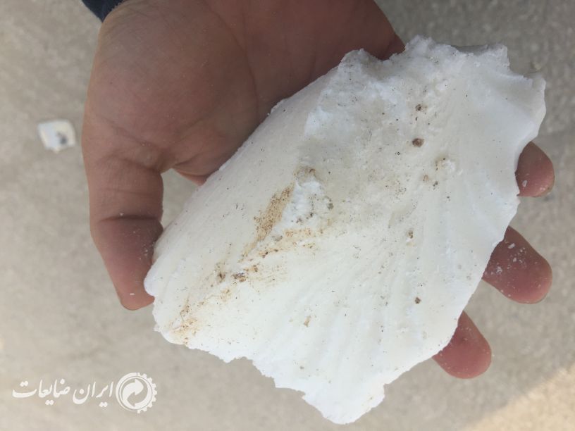 فروش وکس (پارافین)