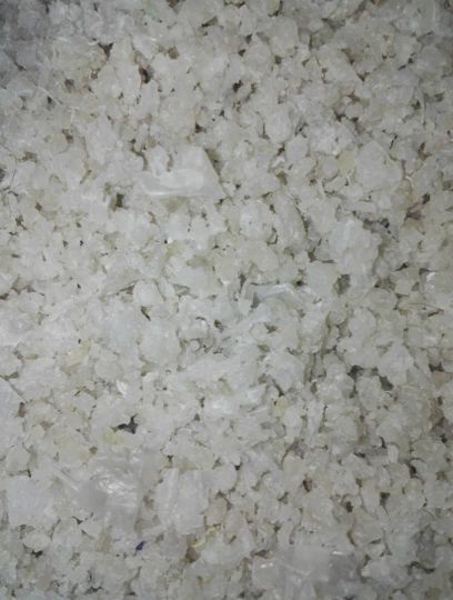 کندوری سفید 1