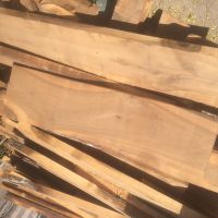فروش انواع چوبهای ایرانی و خارجی