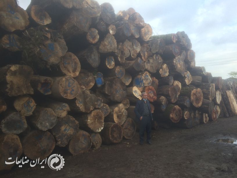 فروش انواع چوبهای ایرانی و خارجی