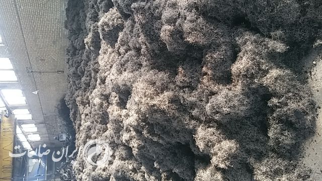 سیم لاستیک