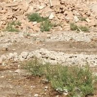آجر حاصل از تخریب مرغداری