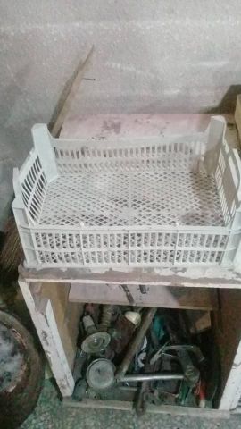 خرید سبد زنده و اسیابی شیری وسفید