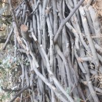 خریدار انواع ضایعات فلزی و غیره